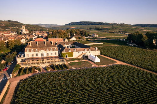 Château De Pommard | Bourgogne Secret